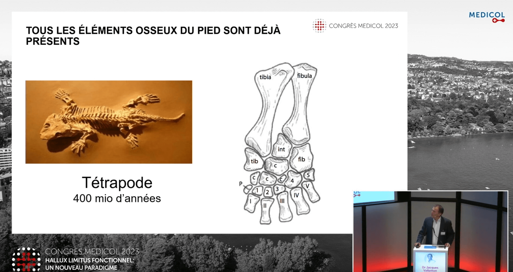 Origines de la bipédie humaine