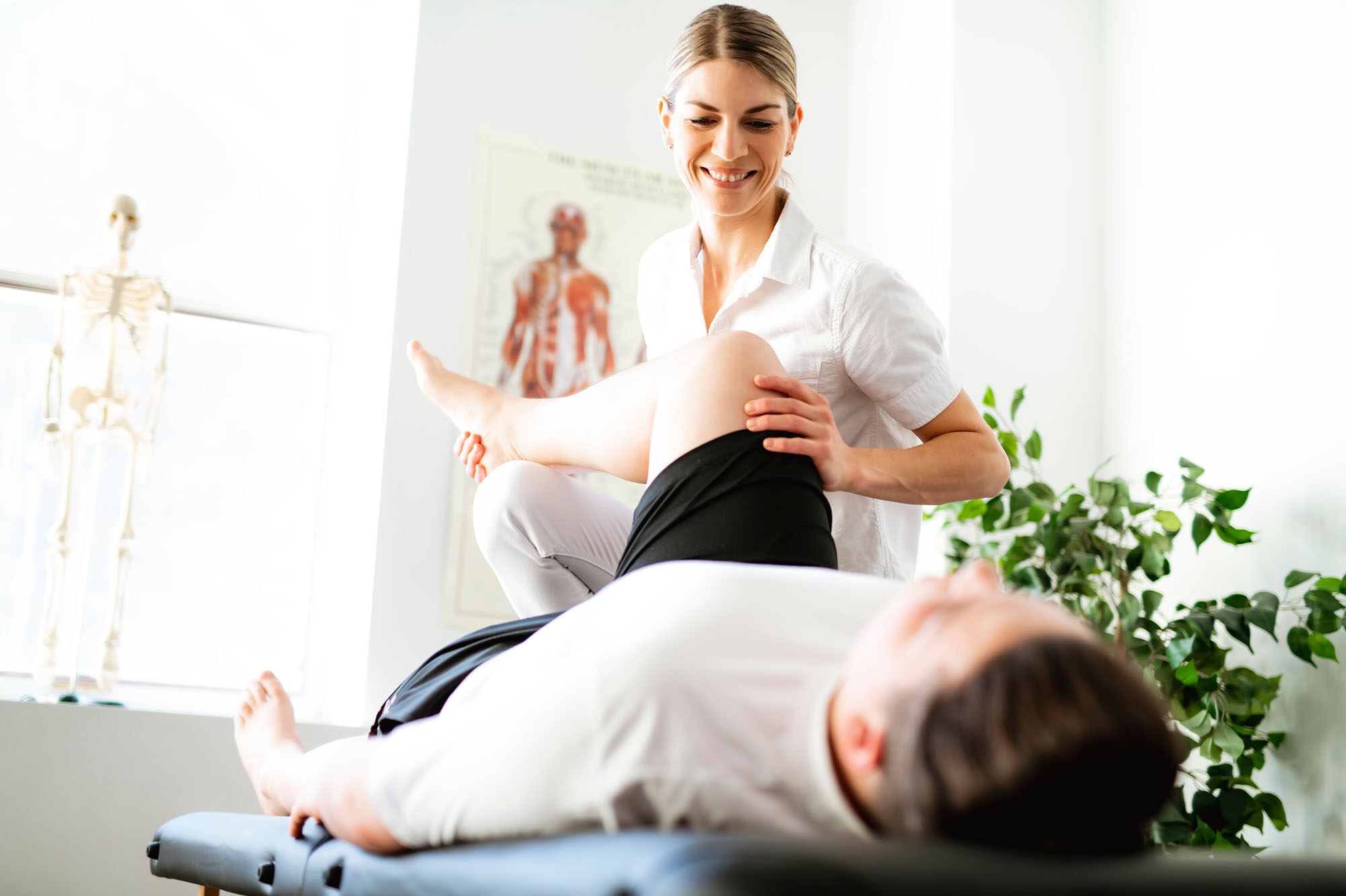 article_physio_2026